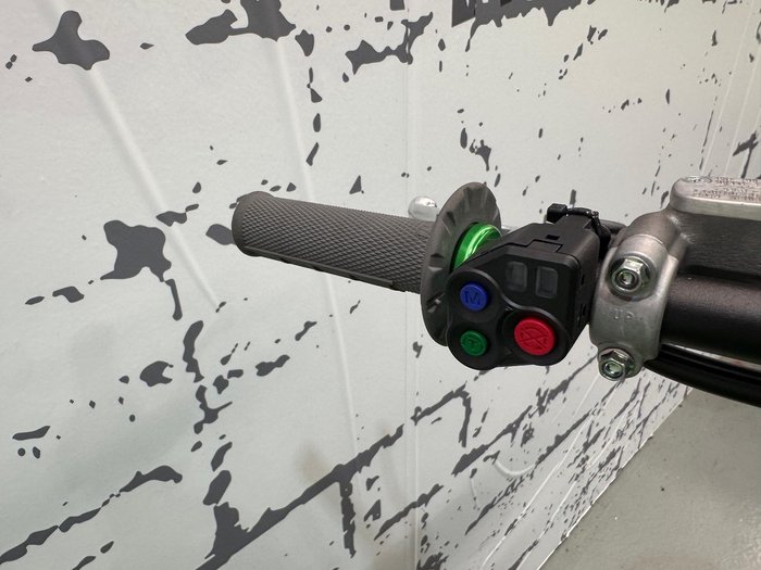 2025 Kawasaki KX250 (KX250A) KX Green