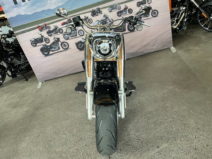 2025 HARLEY-DAVIDSON FLFB FAT BOY (117)