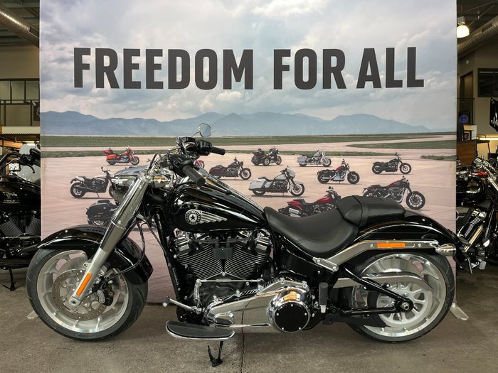 2025 HARLEY-DAVIDSON FLFB FAT BOY (117)