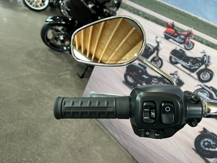 2025 HARLEY-DAVIDSON FLFB FAT BOY (117)