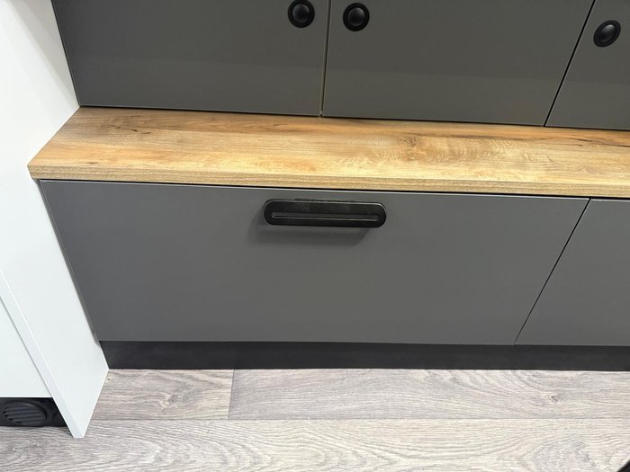 2025 Avida Birdsville