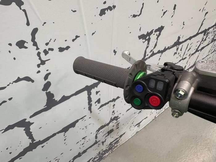 2025 Kawasaki KX250X KX Green