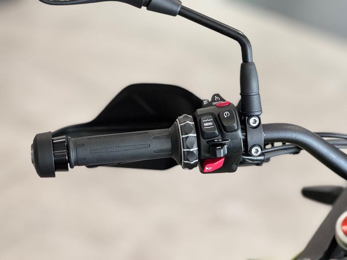 2025 BMW Motorrad F 900 GS Enduro F 900 Yellow