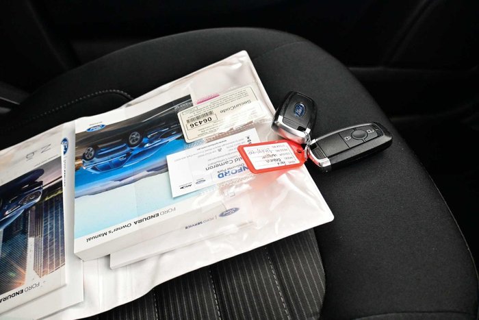 2019 Ford Endura Trend