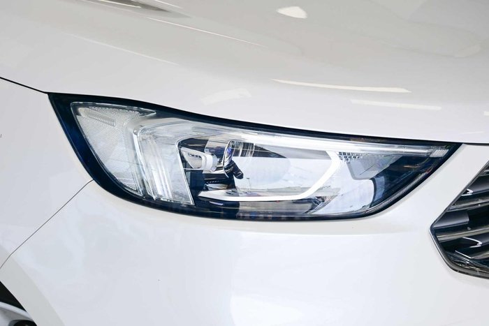 2019 Ford Endura Trend