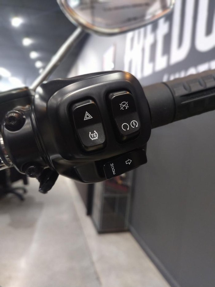 2025 Harley-Davidson Fat Boy 117 (FLFB) Softail Black