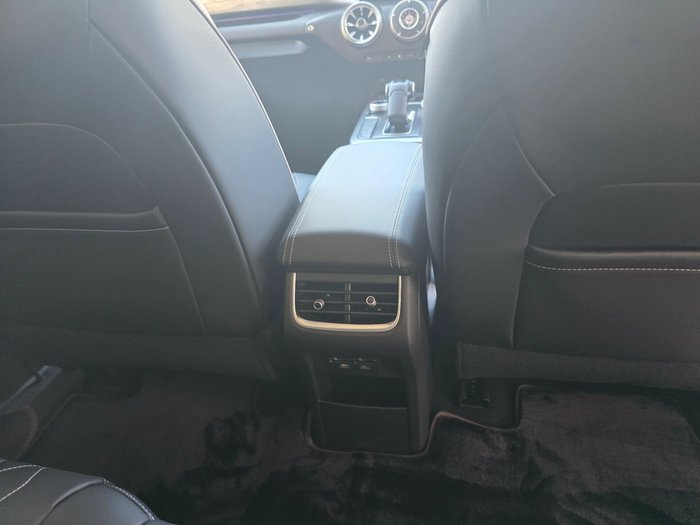 2025 GWM Tank 300 Lux