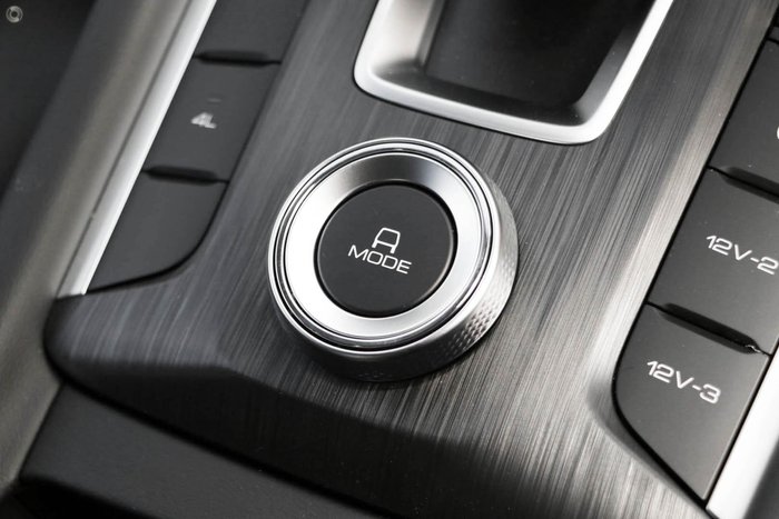 2025 GWM Cannon Premium