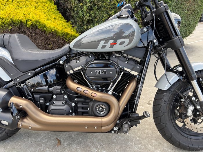 2024 HARLEY-DAVIDSON FXFBS FAT BOB (114) Grey