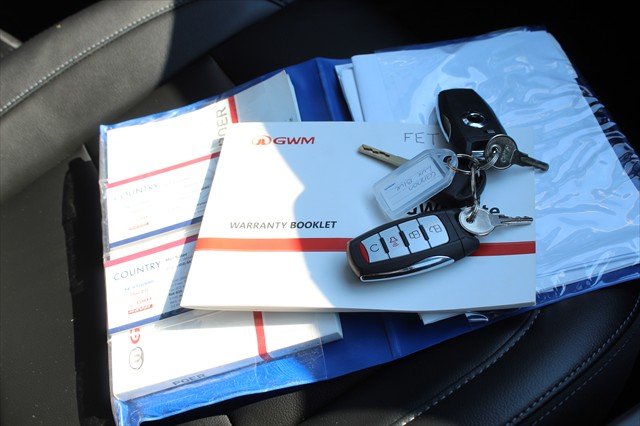 2020 GWM Ute Cannon-L