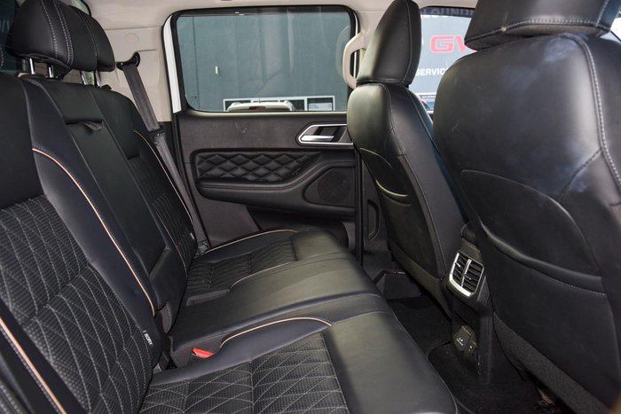 2021 GWM Ute Cannon-X