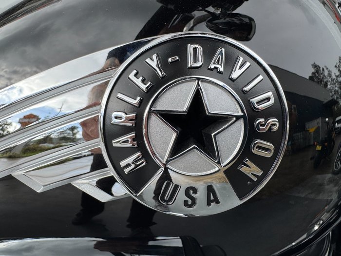 2025 Harley-davidson FLFB FAT BOY (117) Vivid Black