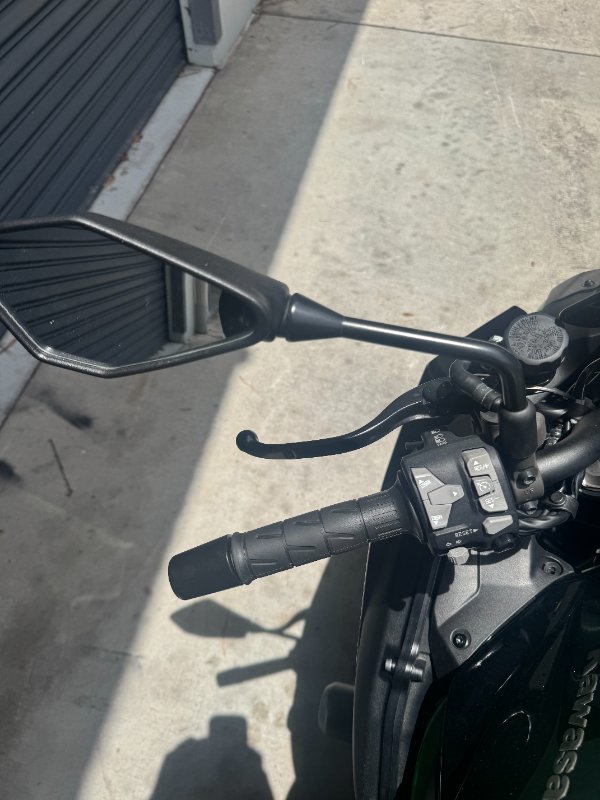 2020 Kawasaki Z H2 (ZR1000K) Green