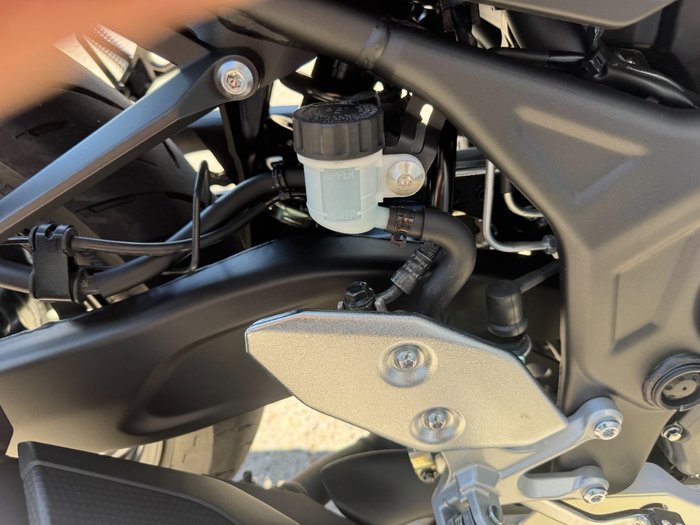 2025 Yamaha 2025 Yamaha 320CC YZF320A R3 WHITE