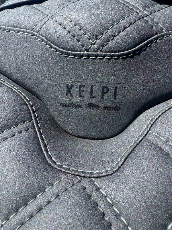 2024 Triumph DAYTONA 660