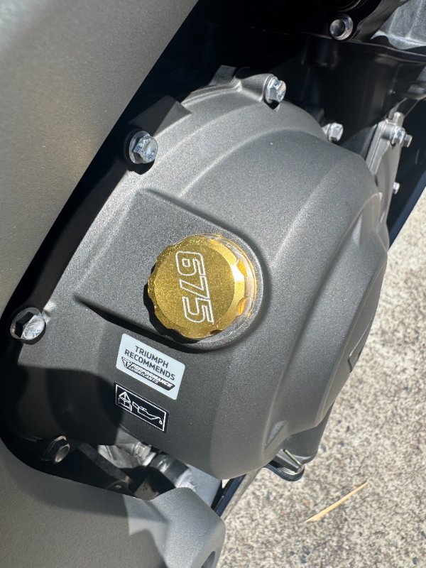 2024 Triumph DAYTONA 660