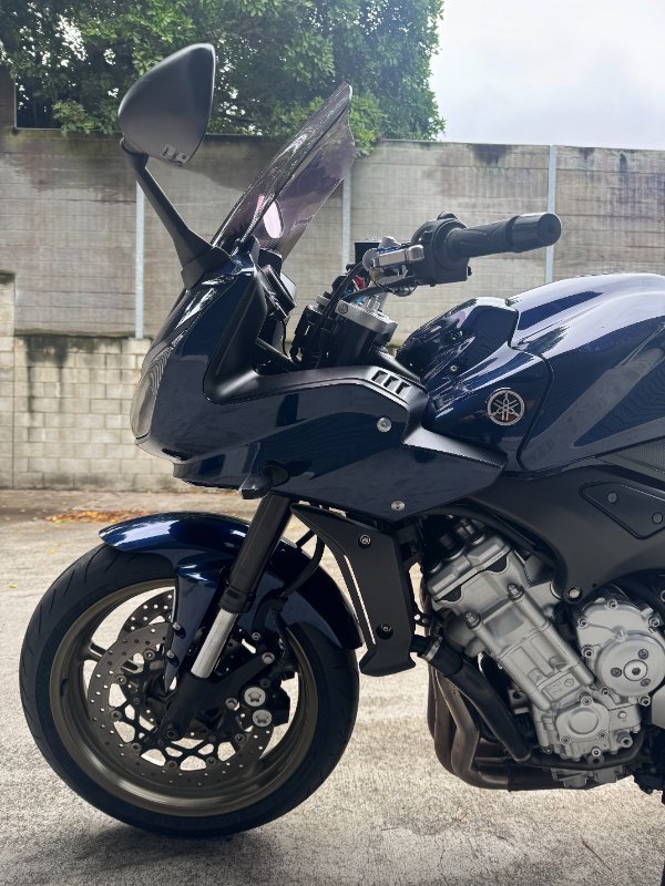 2008 Yamaha FZ1S