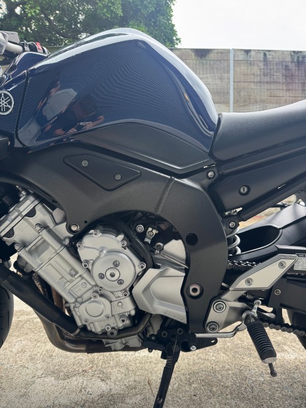 2008 Yamaha FZ1S