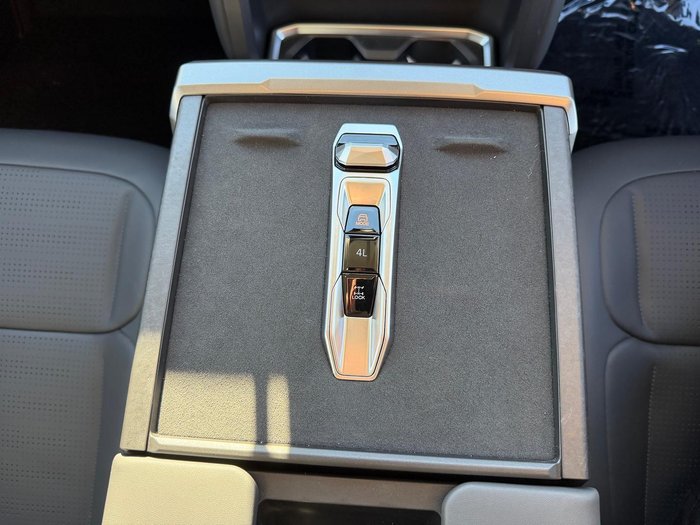 2026 LDV Terron 9 Evolve