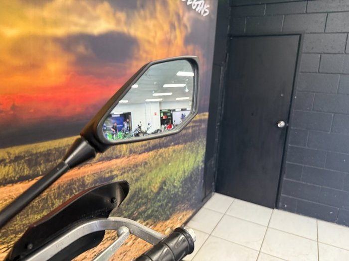 2020 Kawasaki VERSYS-X 300 SILVER