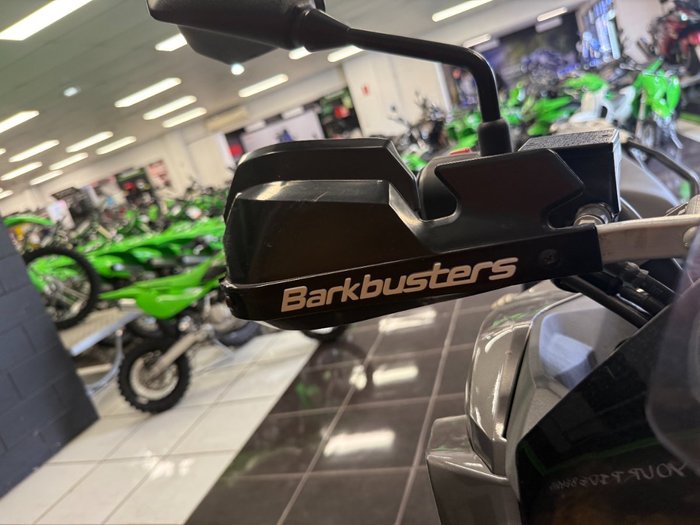 2020 Kawasaki VERSYS-X 300 SILVER