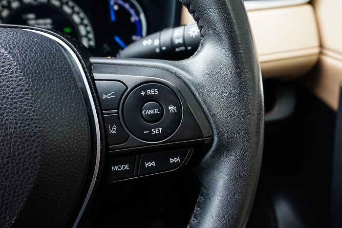 2022 Toyota RAV4 Cruiser