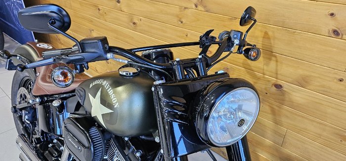 2016 Harley-davidson FLSS SOFTAIL SLIM S Green