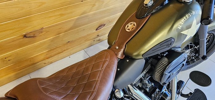 2016 Harley-davidson FLSS SOFTAIL SLIM S Green