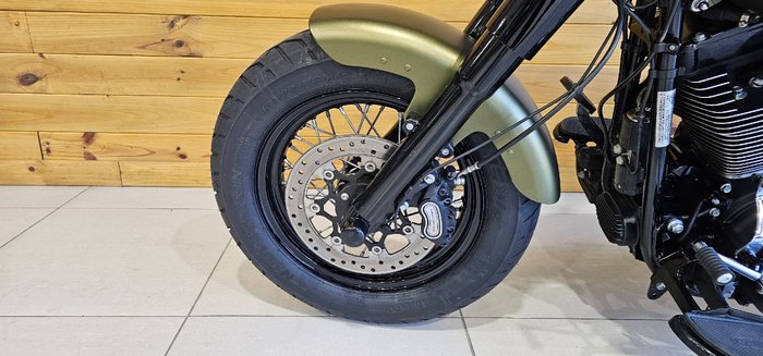 2016 Harley-davidson FLSS SOFTAIL SLIM S Green