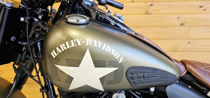 2016 Harley-davidson FLSS SOFTAIL SLIM S Green