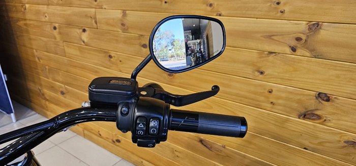 2016 Harley-davidson FLSS SOFTAIL SLIM S Green