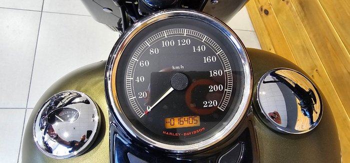 2016 Harley-davidson FLSS SOFTAIL SLIM S Green