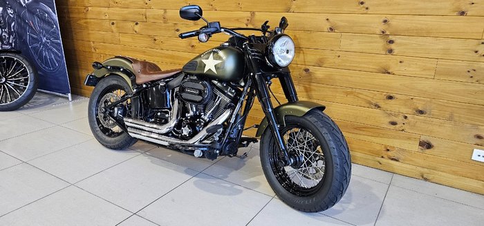 2016 Harley-davidson FLSS SOFTAIL SLIM S Green