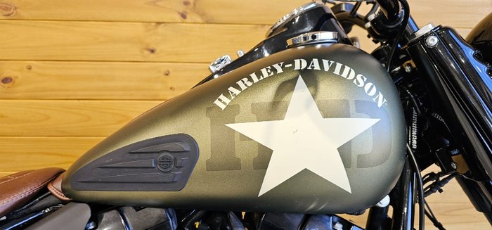 2016 Harley-davidson FLSS SOFTAIL SLIM S Green