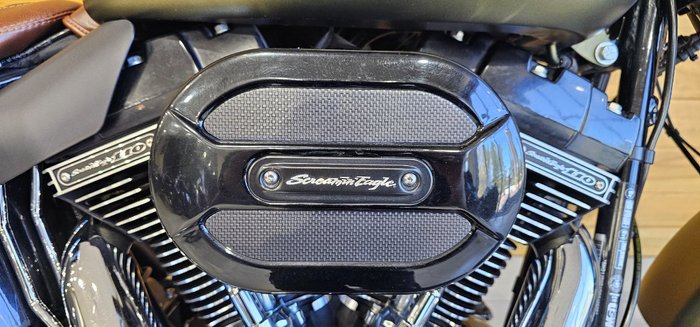 2016 Harley-davidson FLSS SOFTAIL SLIM S Green