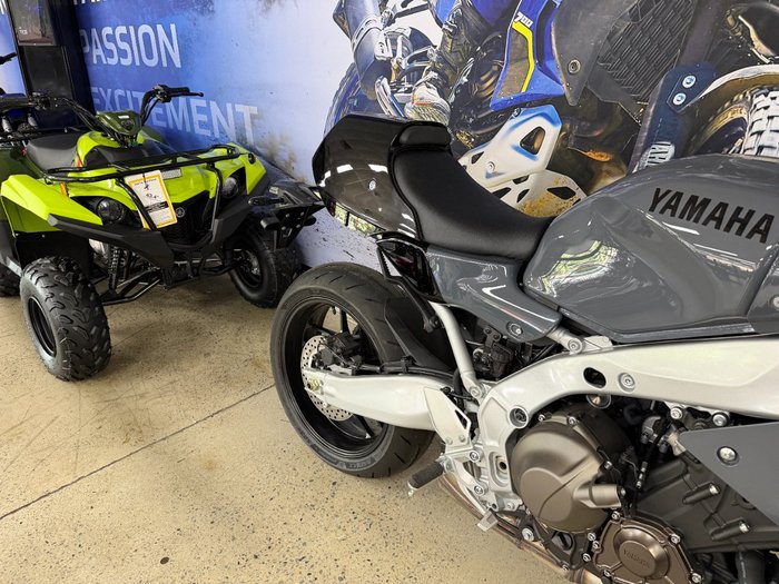 2024 Yamaha XSR900GP (MTM890ASP) Grey