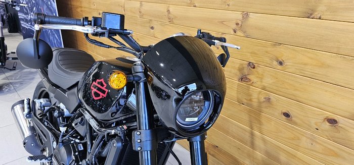 2025 Harley-davidson LWZX500 H-DX X500 Black