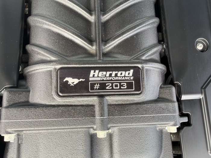 2019 Ford Mustang R-SPEC