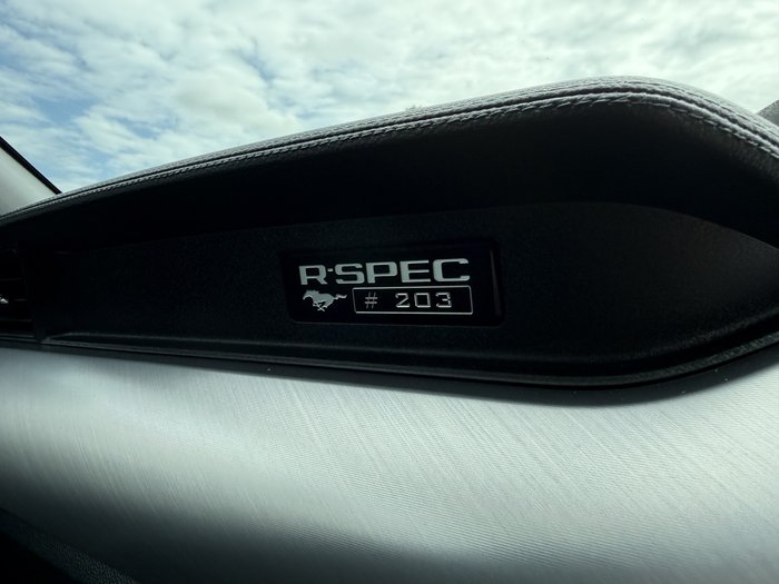 2019 Ford Mustang R-SPEC