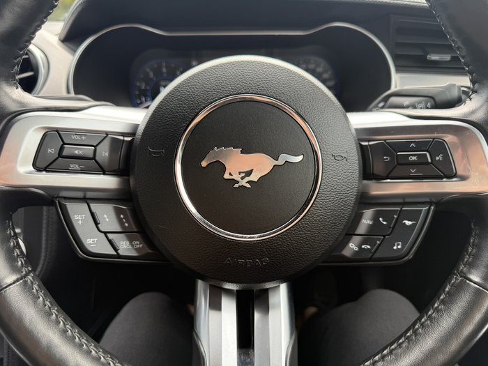 2019 Ford Mustang R-SPEC