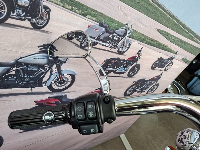 2019 HARLEY-DAVIDSON FLDE DELUXE (107)