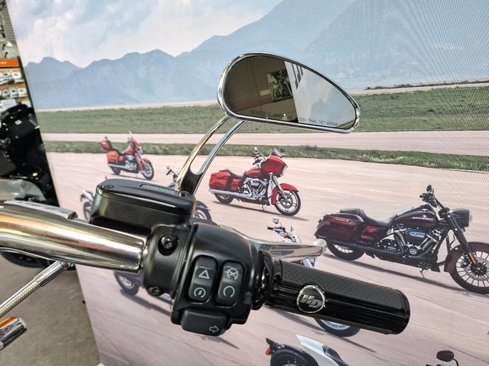 2019 HARLEY-DAVIDSON FLDE DELUXE (107)