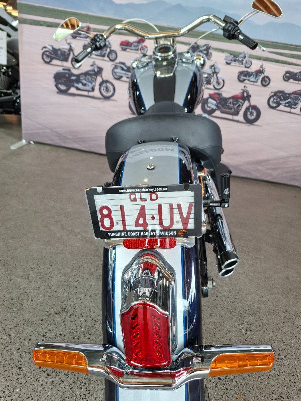 2019 HARLEY-DAVIDSON FLDE DELUXE (107)