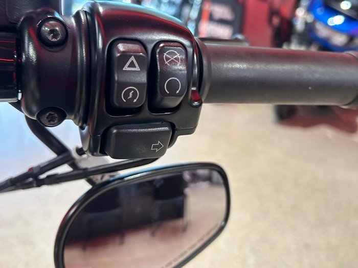 2018 Harley-Davidson Forty-Eight Special (XL1200XS) Sportster Silver