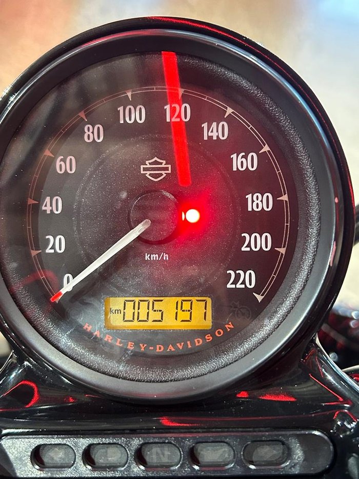 2018 Harley-Davidson Forty-Eight Special (XL1200XS) Sportster Silver