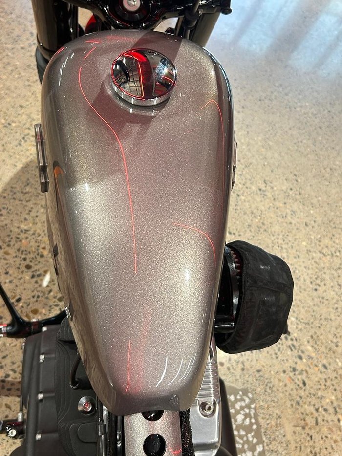 2018 Harley-Davidson Forty-Eight Special (XL1200XS) Sportster Silver