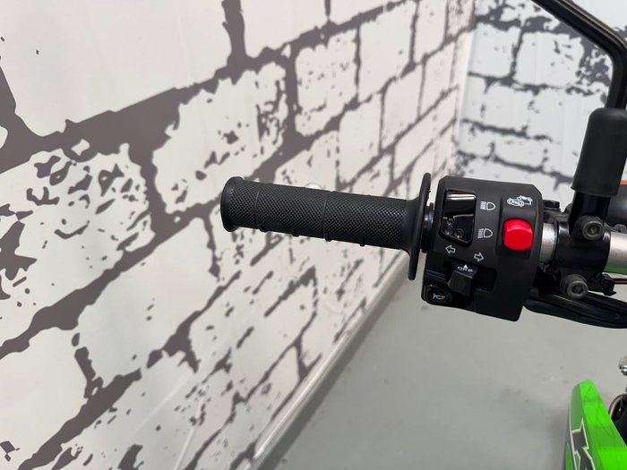 2023 Kawasaki KLX230 S KLX Green