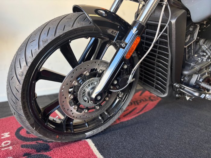 2023 Indian SCOUT ROGUE Grey