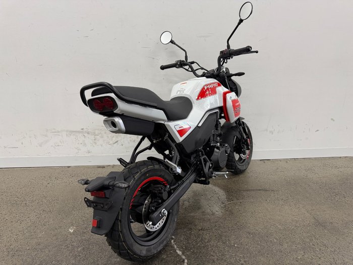 2025 CFMOTO 2025 Cf Moto 125CC PAPIO XO TRAIL