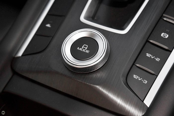 2025 GWM Cannon Premium